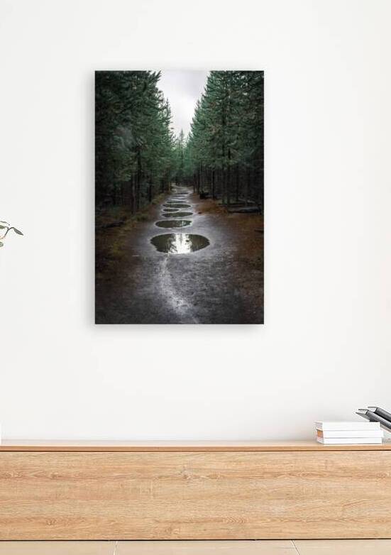 Take The Trail by Wildridge Photography