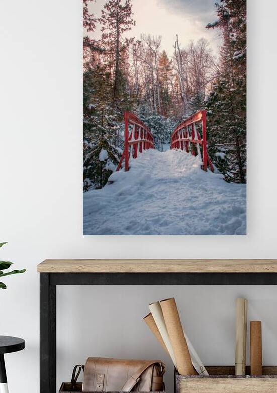 Winter Wonderland by Wildridge Photography